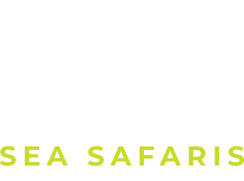 Sea Safaris Sailing School